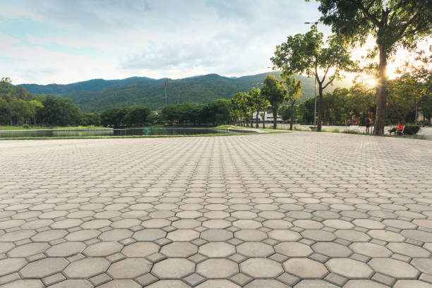 Best Permeable Paver Driveway  in Welby, CO